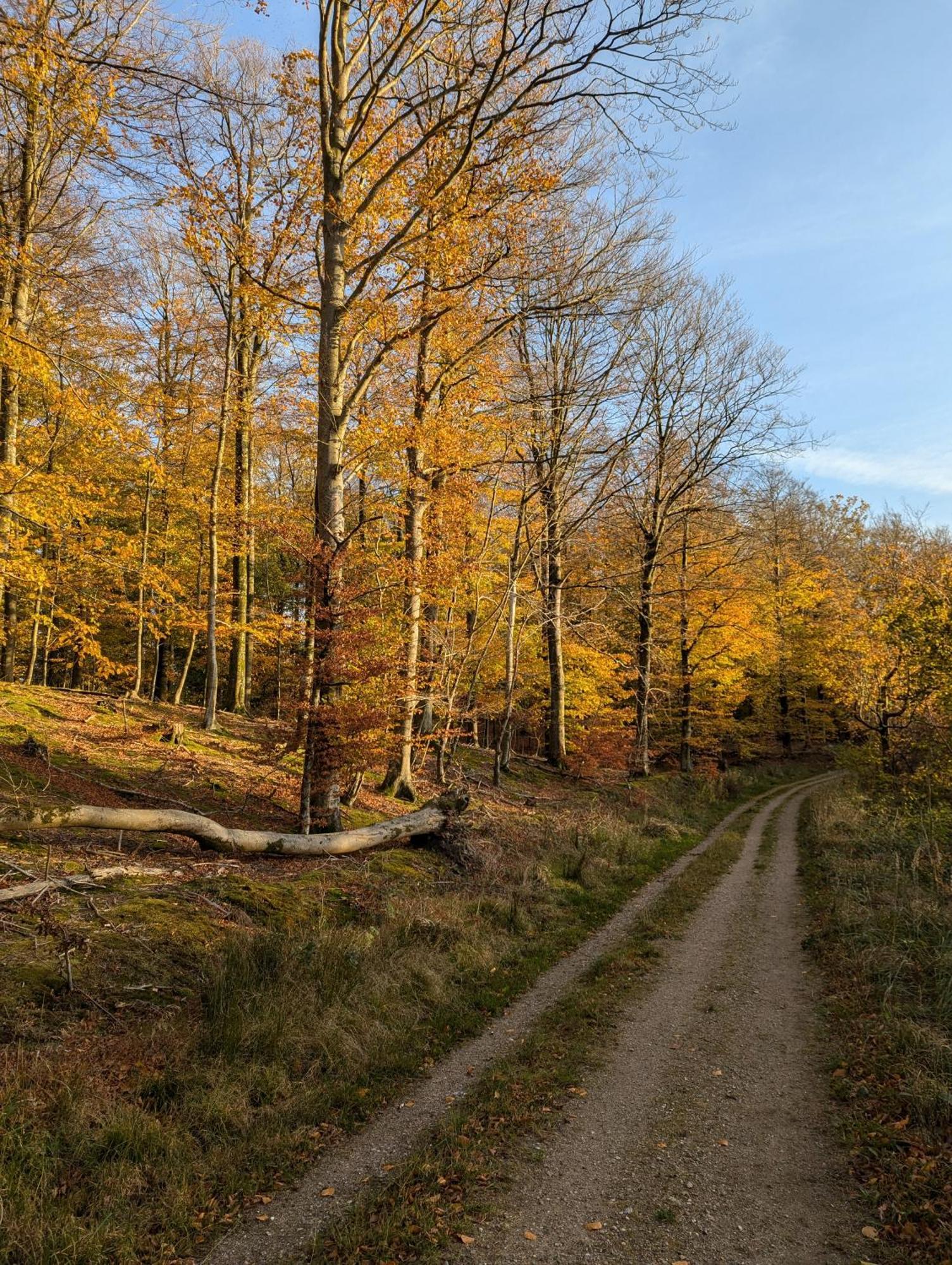 Lejlighed Ved Skov Graested Экстерьер фото